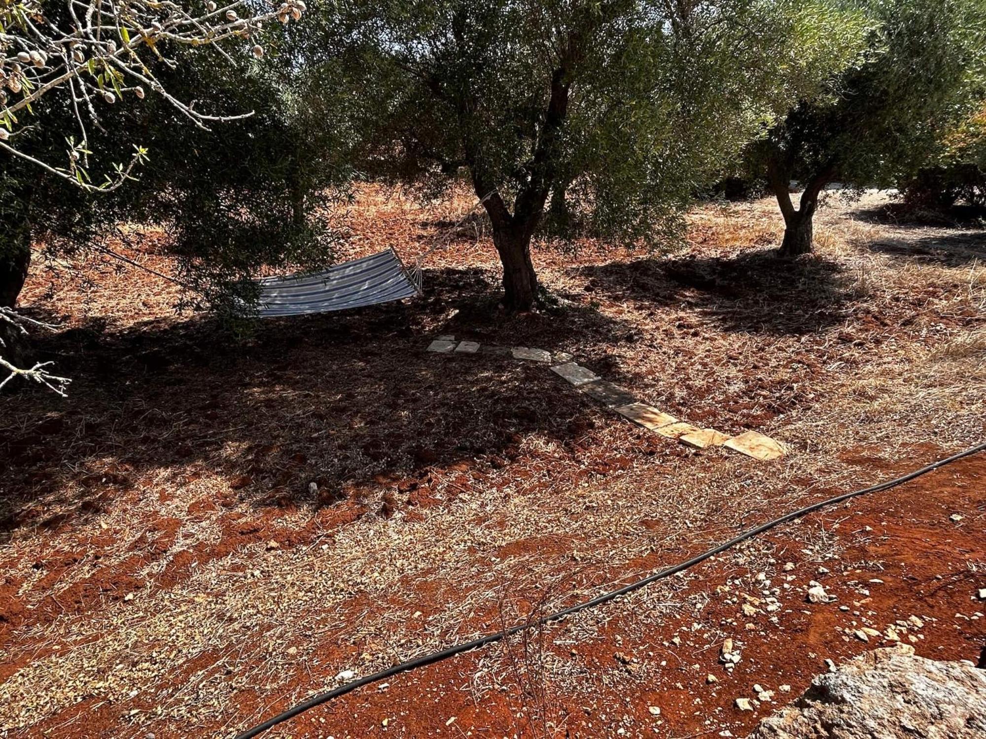 Villa Traditional Trullo With Private Pool Near Ostuni Exterior foto